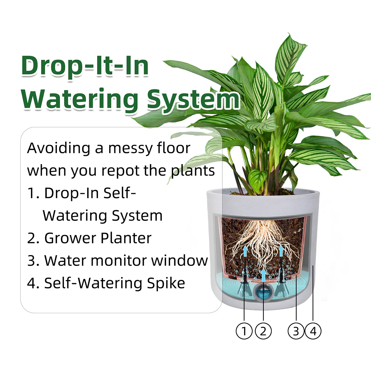 Self-Watering Tall Cylinder Pot System for Indoor Plants (Set of 3) - Image 6