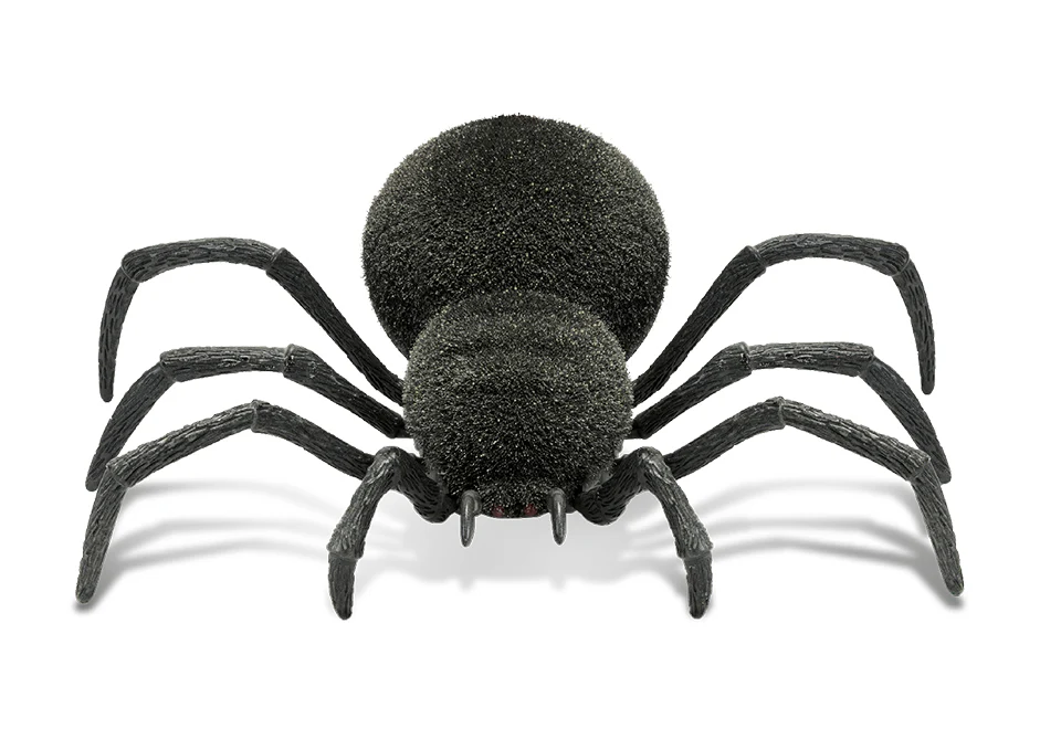 Spooky RC Spider