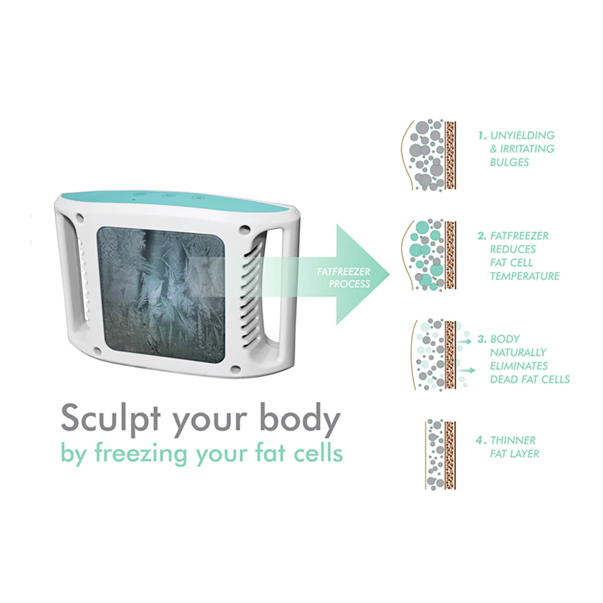 Ultimate Fat Freezer - Image 4