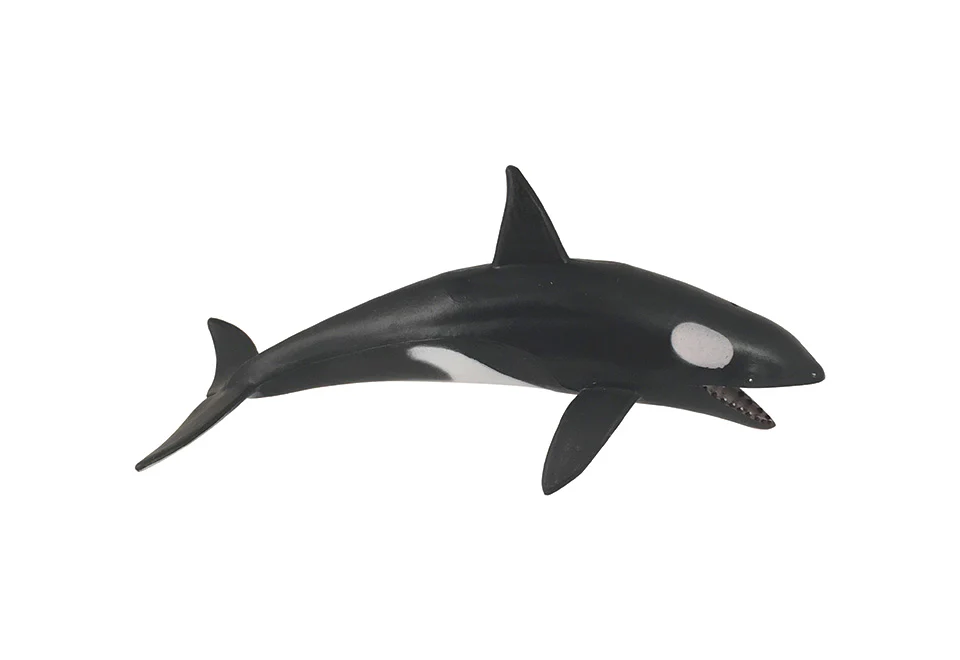 Undersea 4D Interactive Smart Set - Image 8