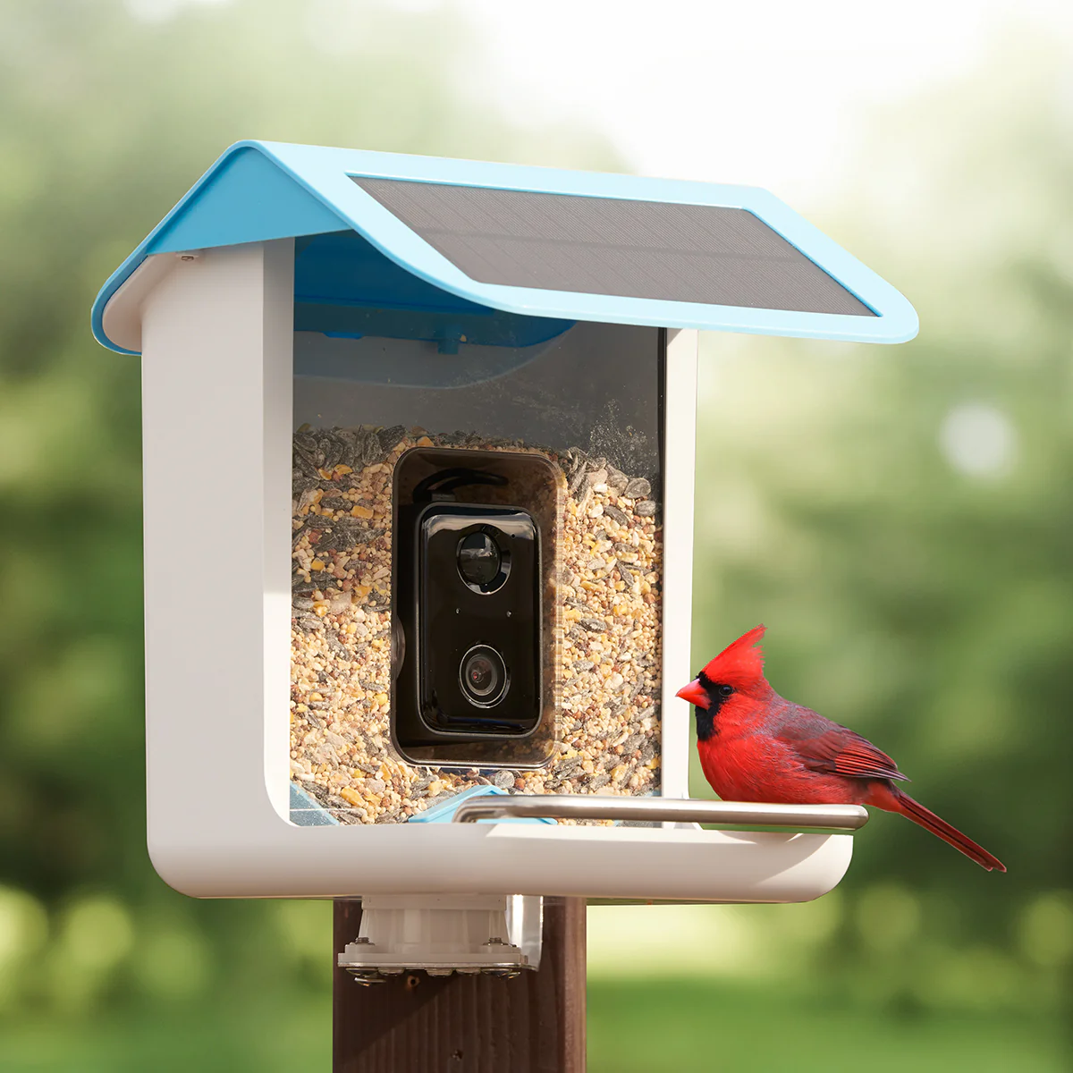 Video Camera Bird Feeder by Sharper Image - Image 3