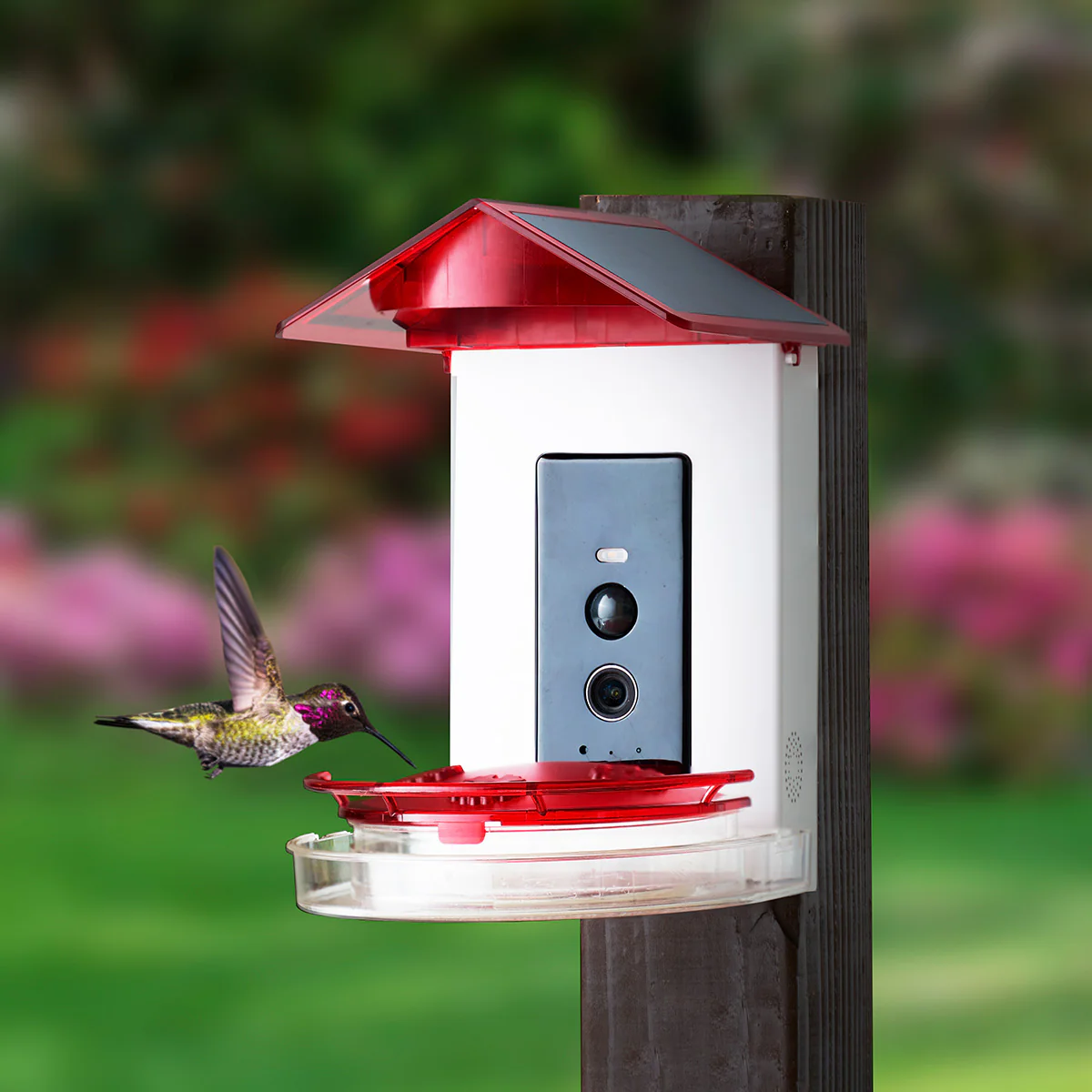 Video Camera Hummingbird Feeder by Sharper Image