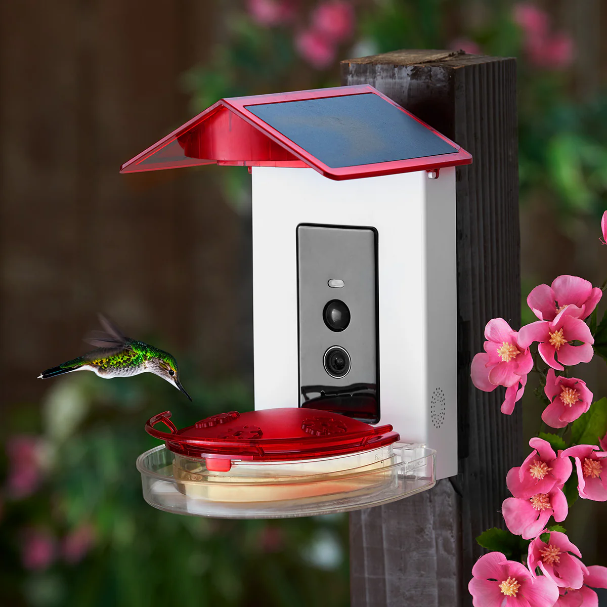 Video Camera Hummingbird Feeder by Sharper Image - Image 10