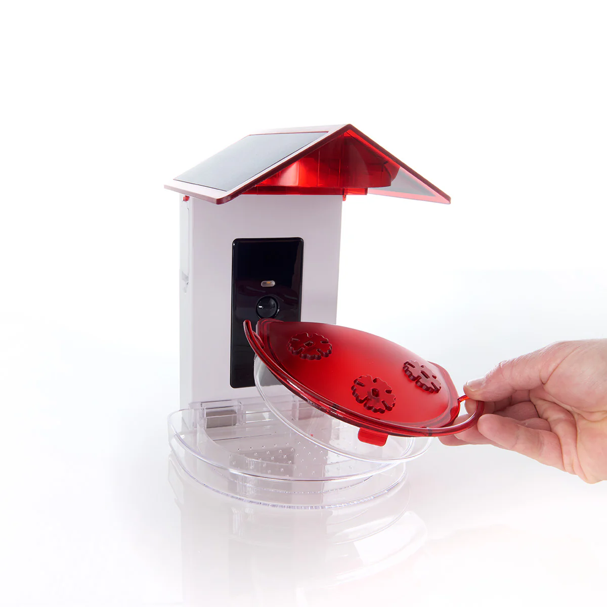 Video Camera Hummingbird Feeder by Sharper Image - Image 8
