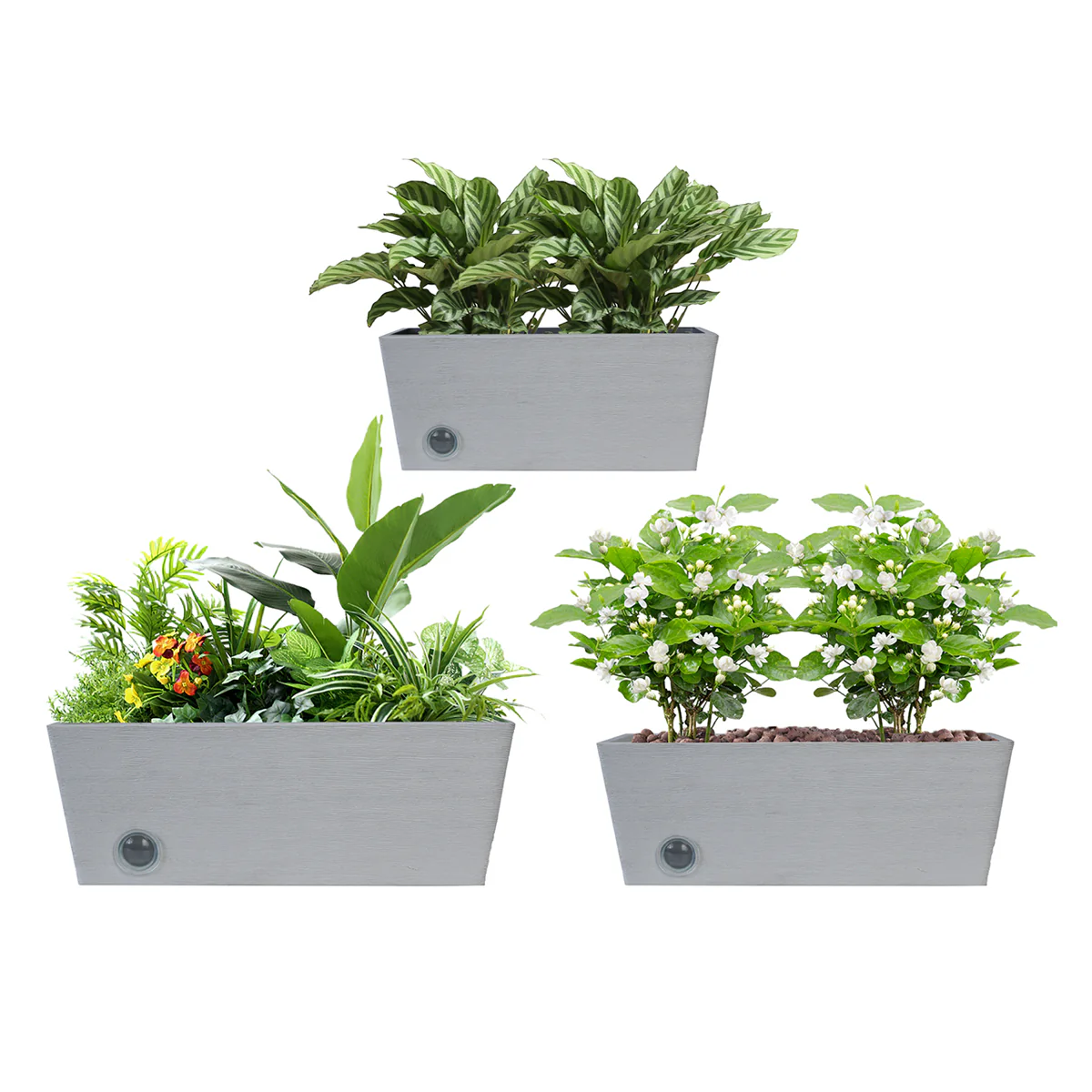 Wall Hanging Self-Watering Pot System for Indoor Plants (Set of 3) - Image 2