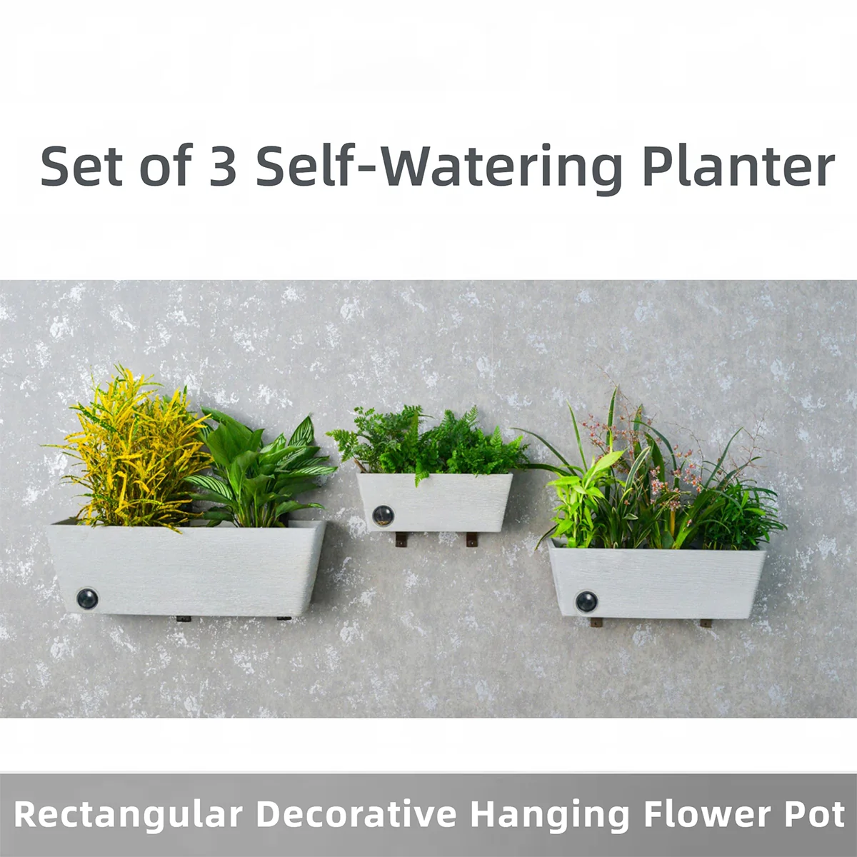 Wall Hanging Self-Watering Pot System for Indoor Plants (Set of 3) - Image 4