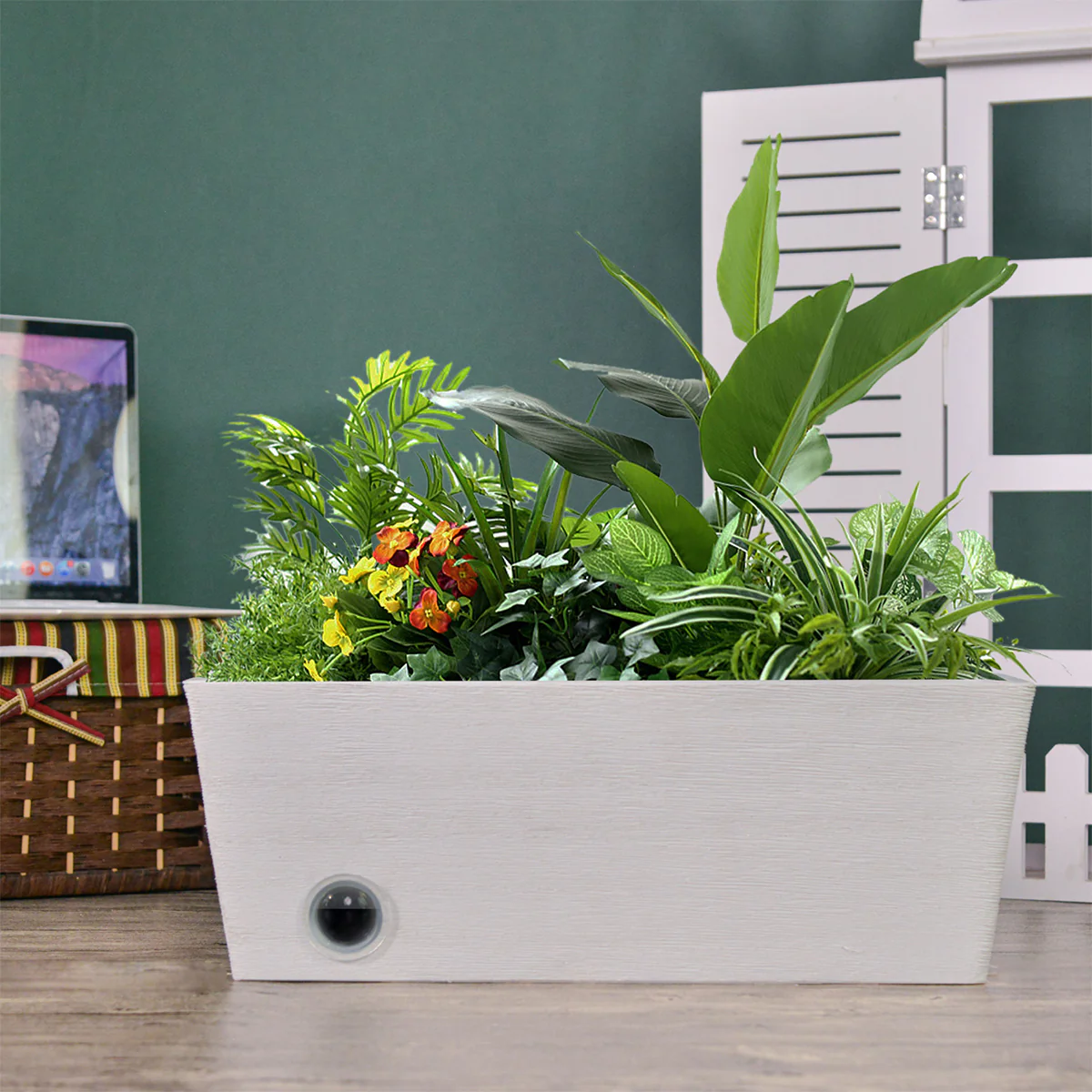 Wall Hanging Self-Watering Pot System for Indoor Plants (Set of 3) - Image 8